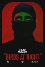 Birds at Night (2024)